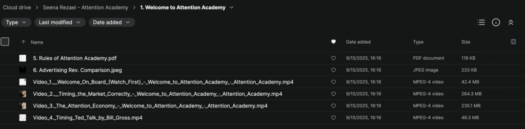 Seena Rezaei – Attention Academy